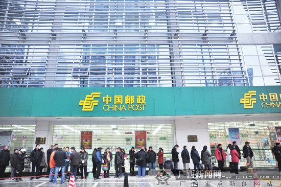 市民熬夜排队抢购生肖蛇票 业内人士:勿盲目跟风