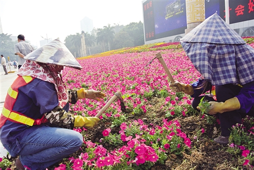 南宁推出新措施扮靓城市 节约成本的同时花开四季