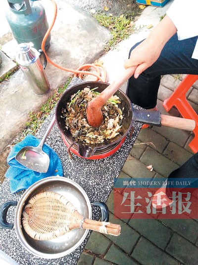 广西各地油茶在邕