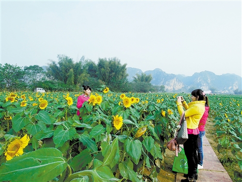 上林县立足本土特色 打造旅游名县