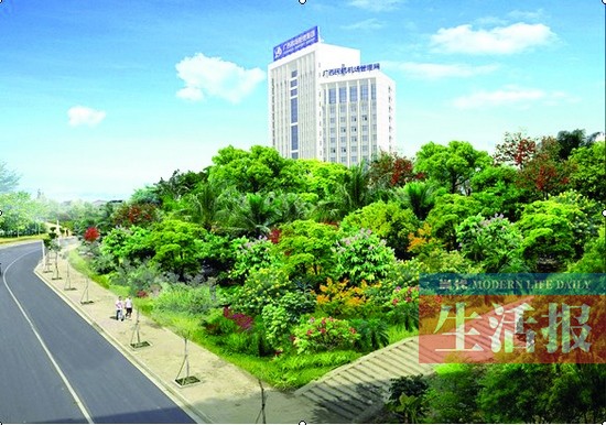 南宁白沙大道3条立交道路绿化改造 有望绿荫满地