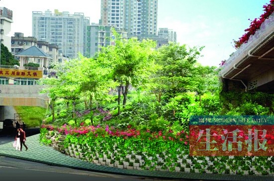 南宁白沙大道3条立交道路绿化改造 有望绿荫满地