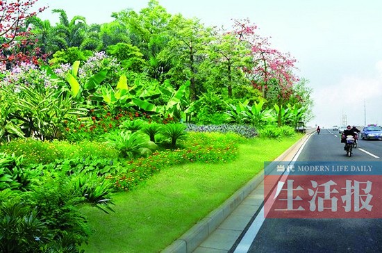 南宁白沙大道3条立交道路绿化改造 有望绿荫满地