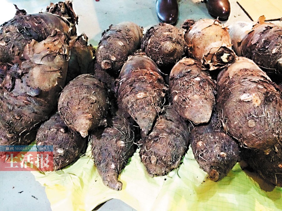 广西：1500多种土特产等你来淘 不过瘾还可网上买
