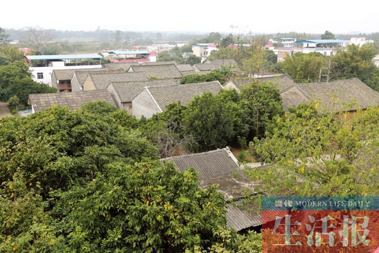 南宁那学坡:古民居蕴含古老文化 闹市边缘好去处