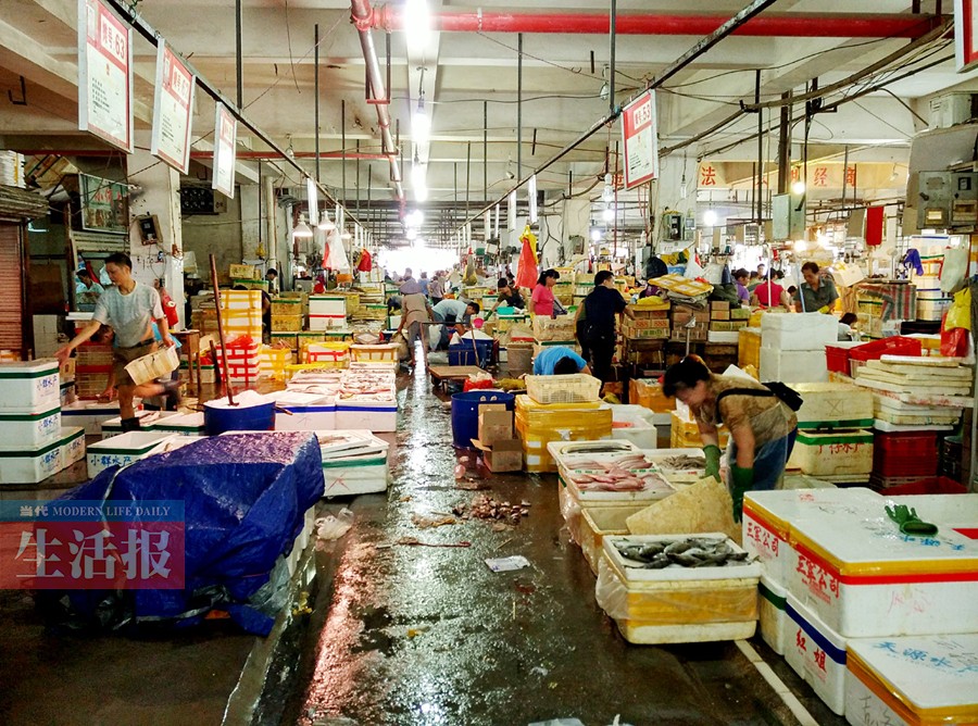 南宁海鲜价格“涨”声一片 去哪里买海鲜最便宜？