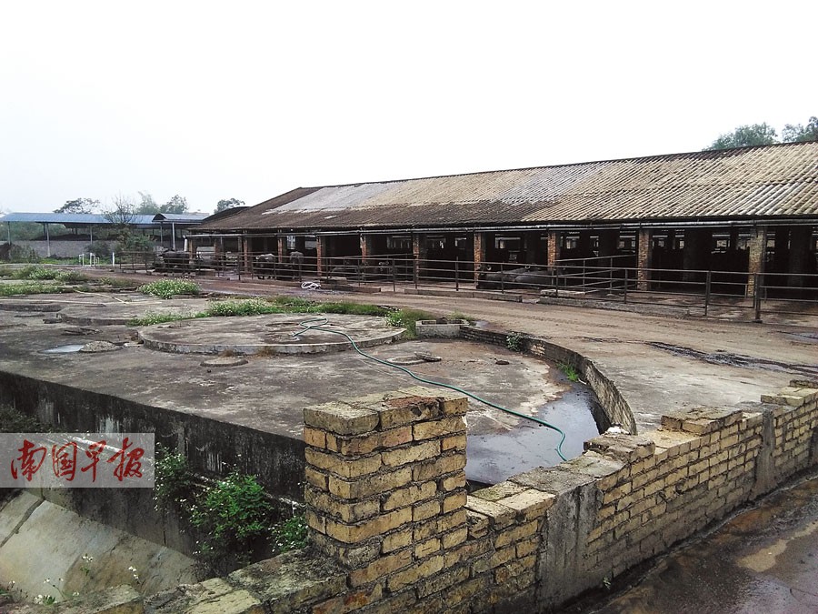 广西半数农户建有沼气池 受益人口达到2000多万人